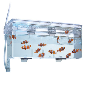 BREEDING BOX