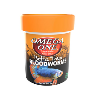 BETTA BLOODWORM