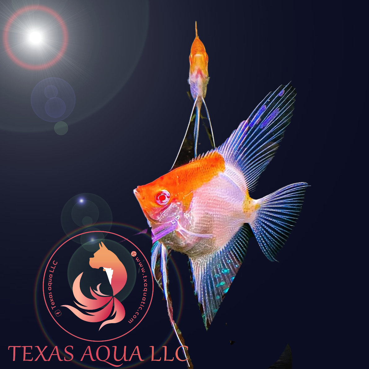 Ab Red AB RED CAP – Texas Aqua LLC
