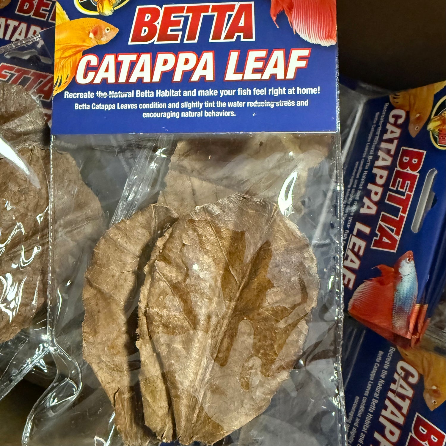 CATAPPA LEAVES