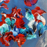 DUMBO EAR BETTA