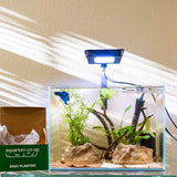 EASY PLANTER