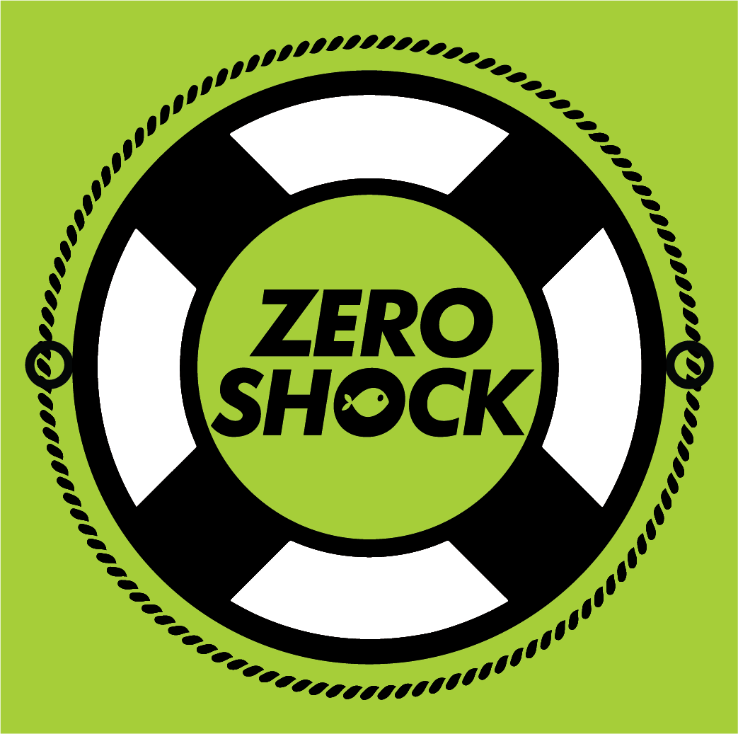 ZERO SHOCK