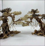 BONSAI DRIFTWOOD