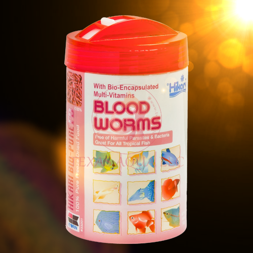 HIKARI BLOODWORMS