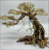 BONSAI DRIFTWOOD