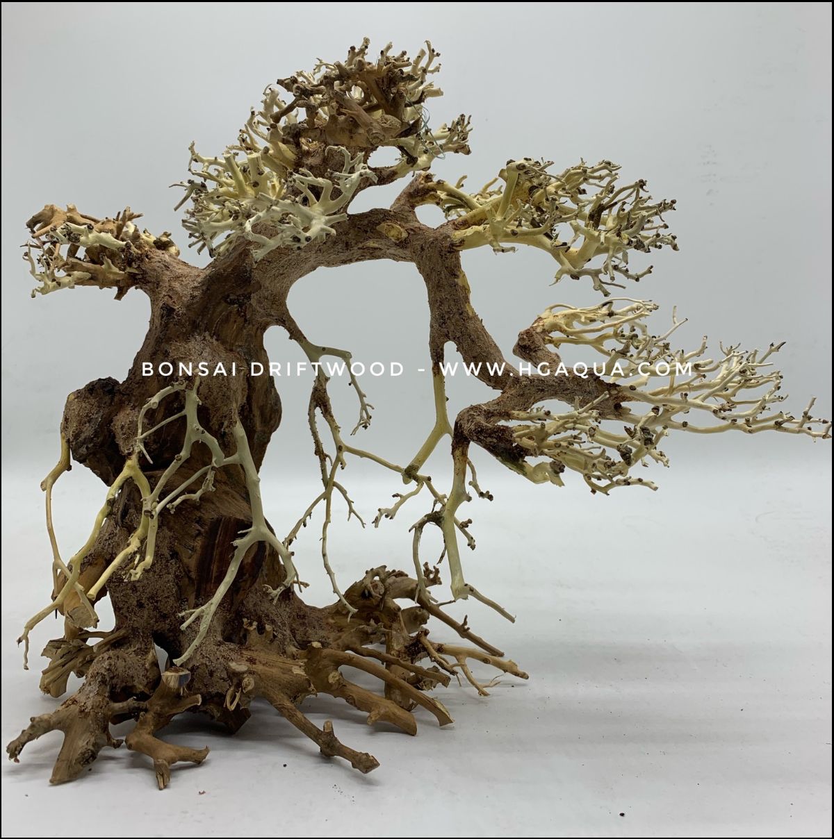 bonsai driftwood tree BONSAI DRIFTWOOD – Texas Aqua LLC