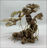 BONSAI DRIFTWOOD