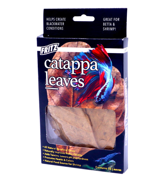 CATTAPA LEAVES